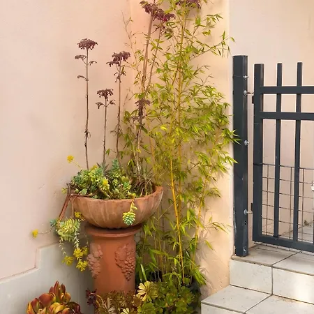 500 M² Jardin * Villeneuve-Loubet