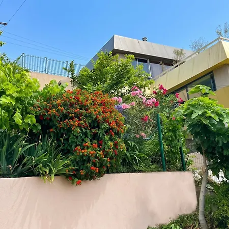 Villa 500 M² Jardin
