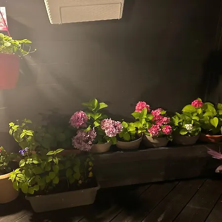 500 M² Jardin *